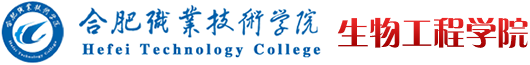 永利集团304am登录